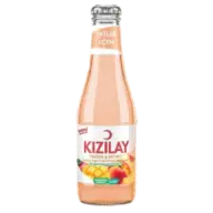 Şeftali ve Mango Aromalı Doğal Zengin Mineralli Gazlı İçecek