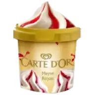 Meyve Rüyası Carte dOr Dondurma